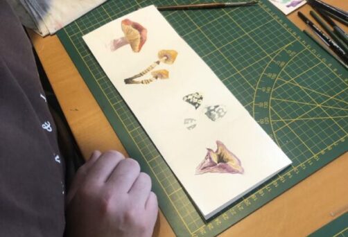 Atelier Aquarelle de l’Oracle de la Semois – Monde végétal